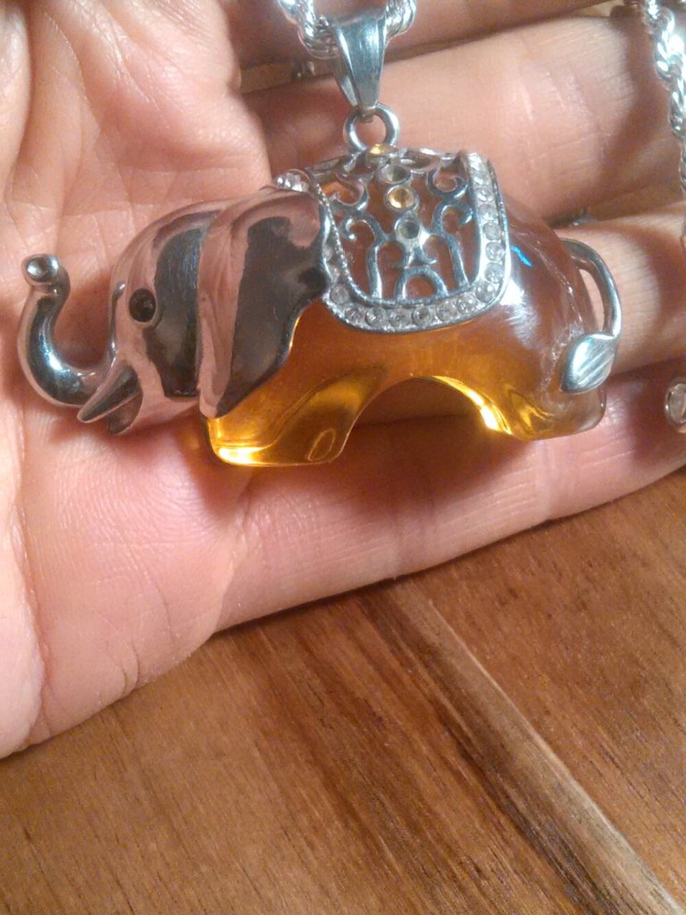 Stainless Steel Elephant Pendant Braided Necklace (22 Inch)